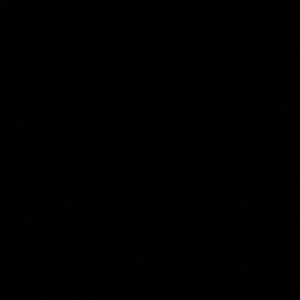 Meet your Posher, Rongkang